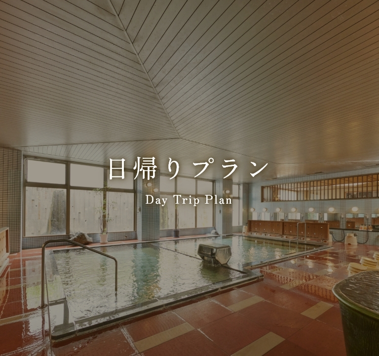 日帰りプラン